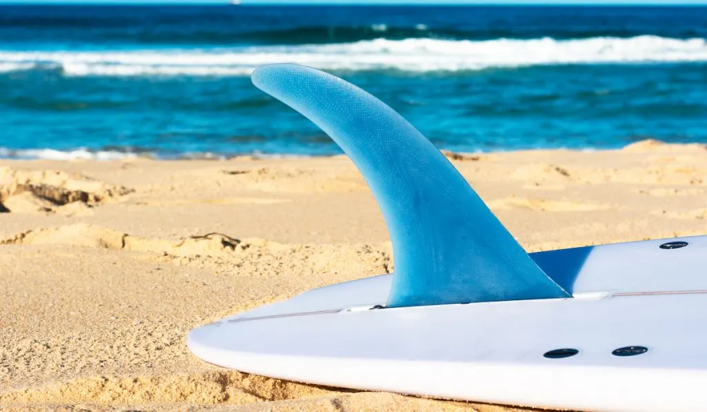 long surfboard fin