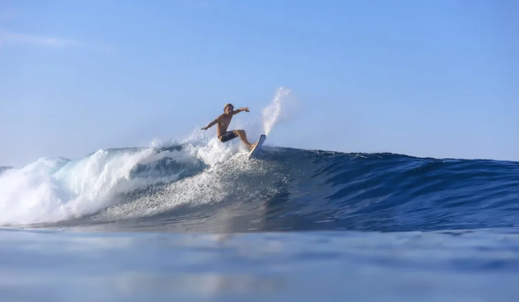 surfer riding a wave