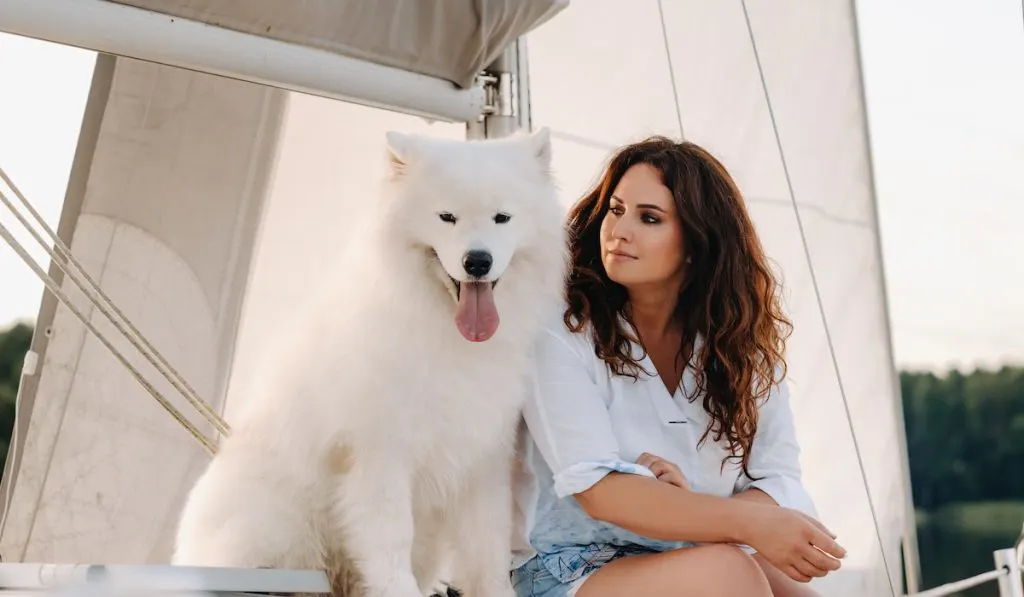 white dog with her owner