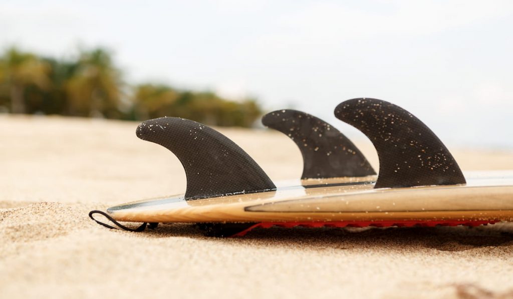 3 fins on a surf board at the beach near ocean