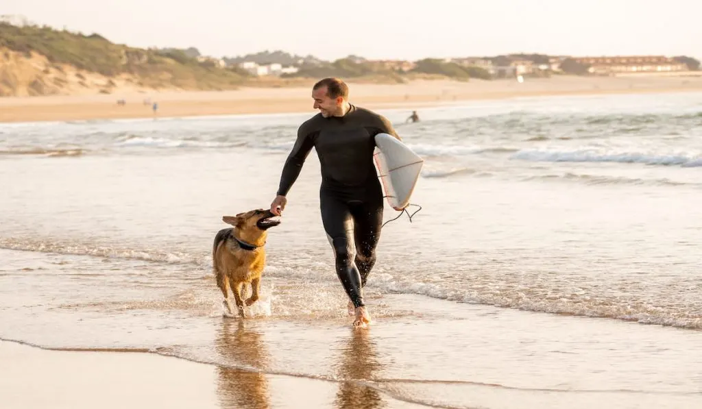 Surfer having fun and running and playing with his dog