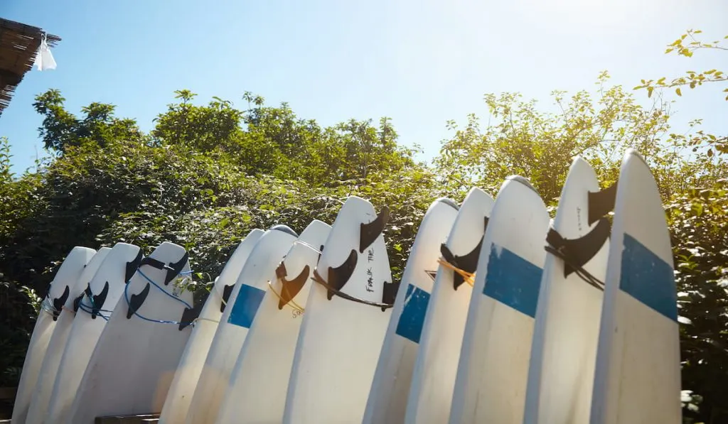 close view on tails with fins of surfboards