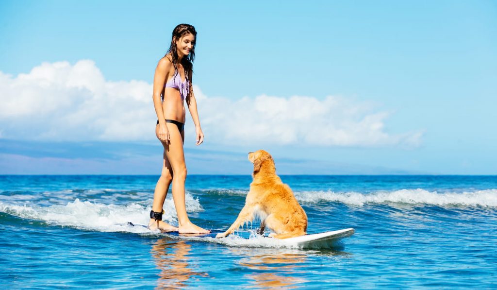 young-woman-surfing-with-her-dog