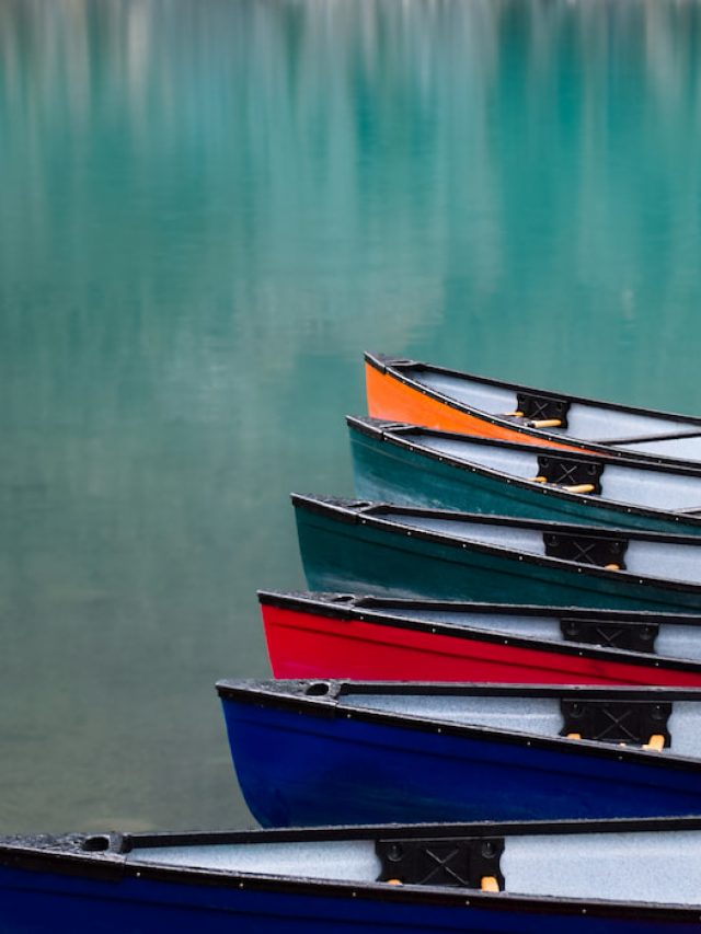Why Are Canoes So Expensive?