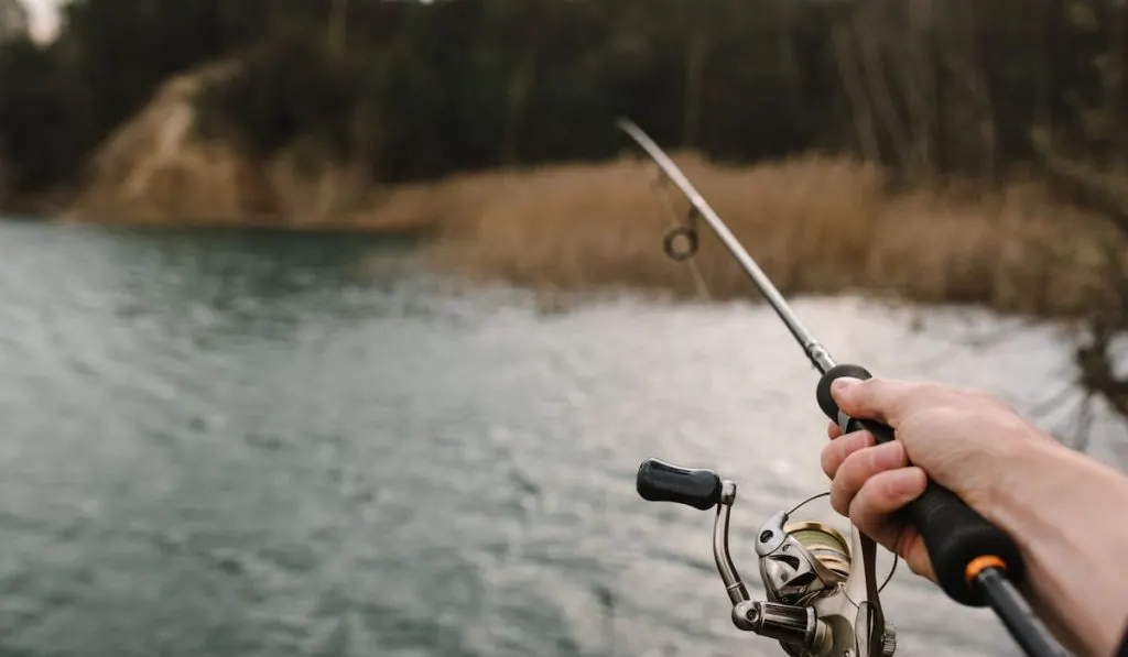 Fisherman with rod fishing 