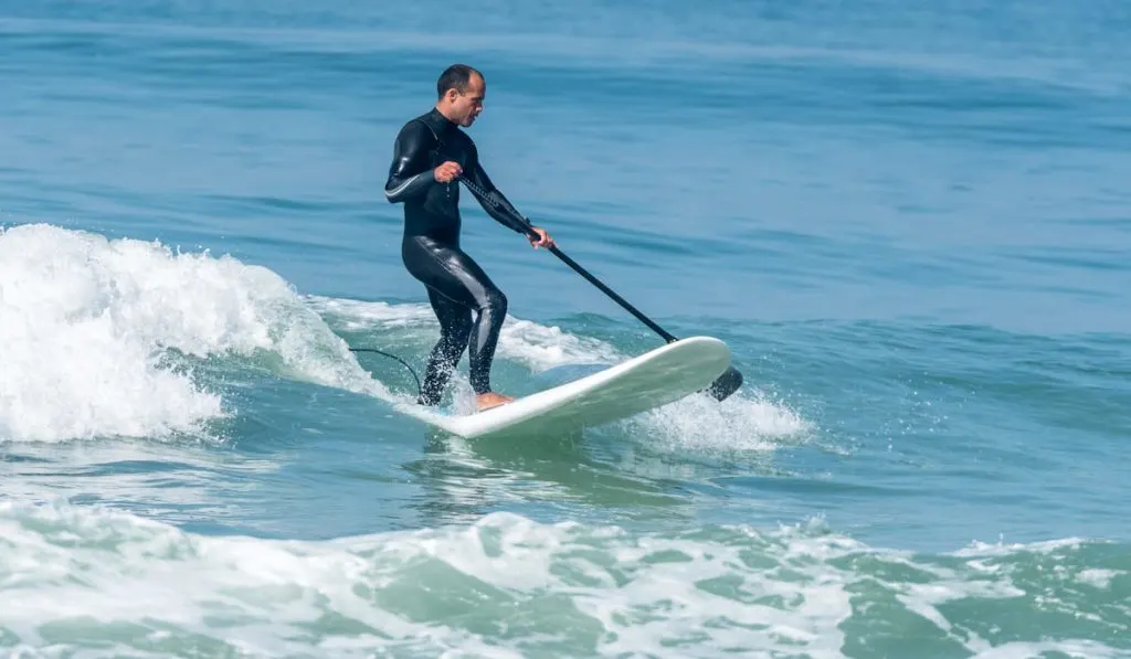 paddle surfer catching a wave 