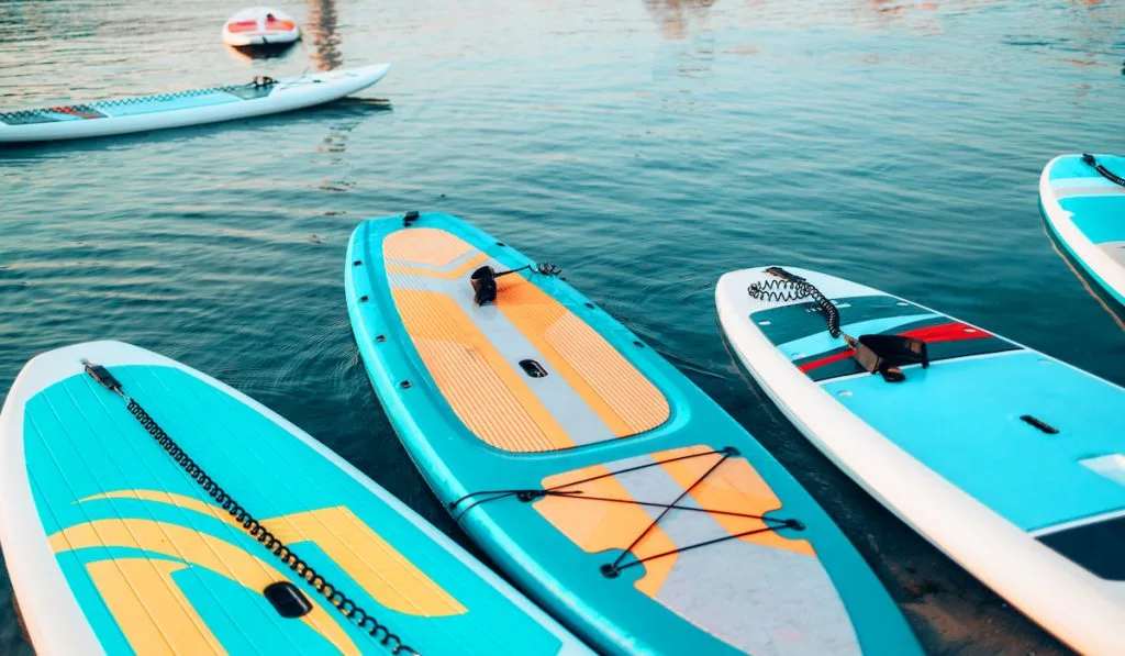 Closeup of stand up SUP paddle boards on lake