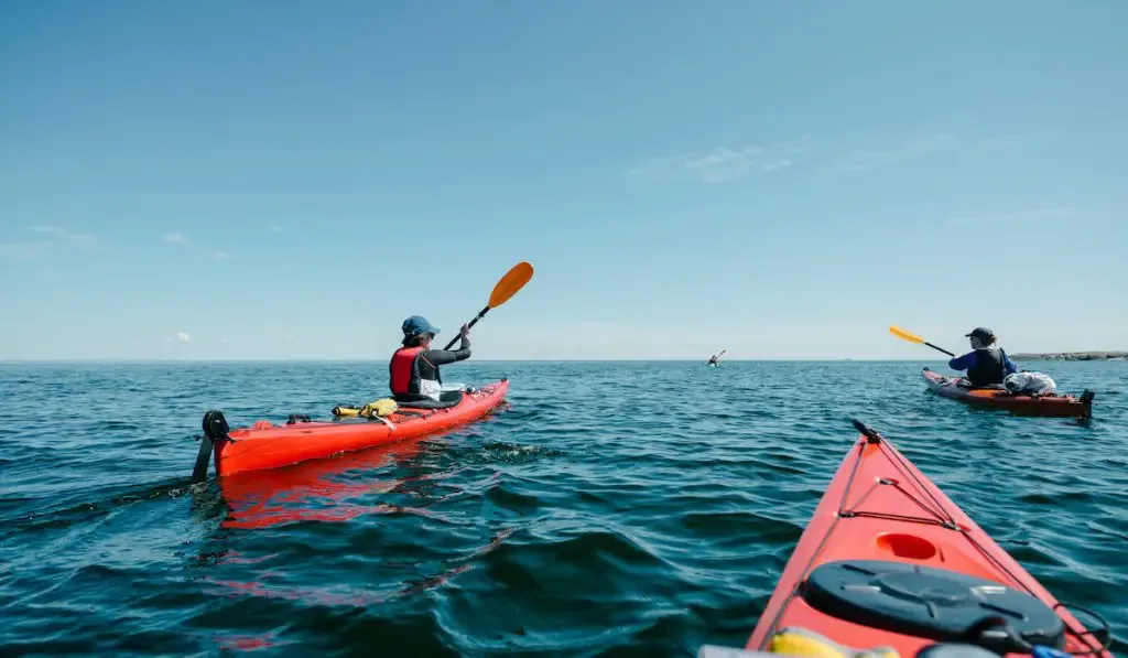 group of friends kayaking in sea