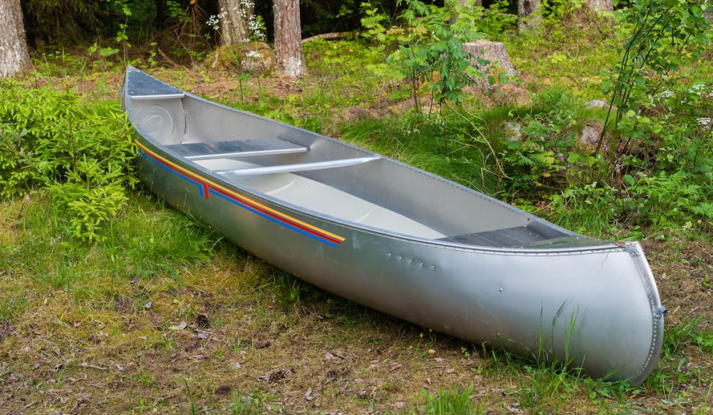 aluminum canoe in a forest 