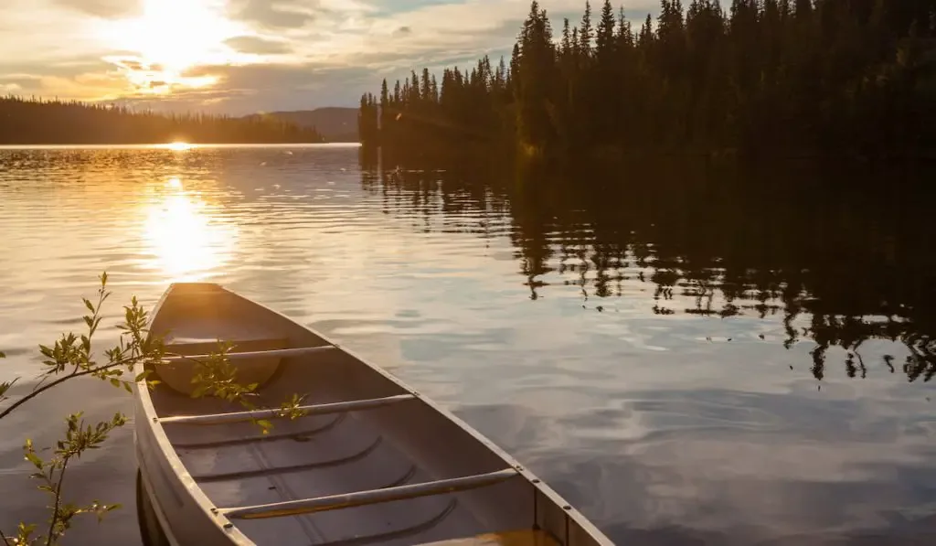 Canoe tied to shore